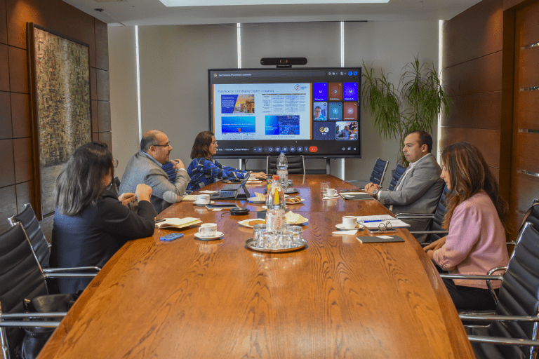 CLUSTER MINERO 08-04-13