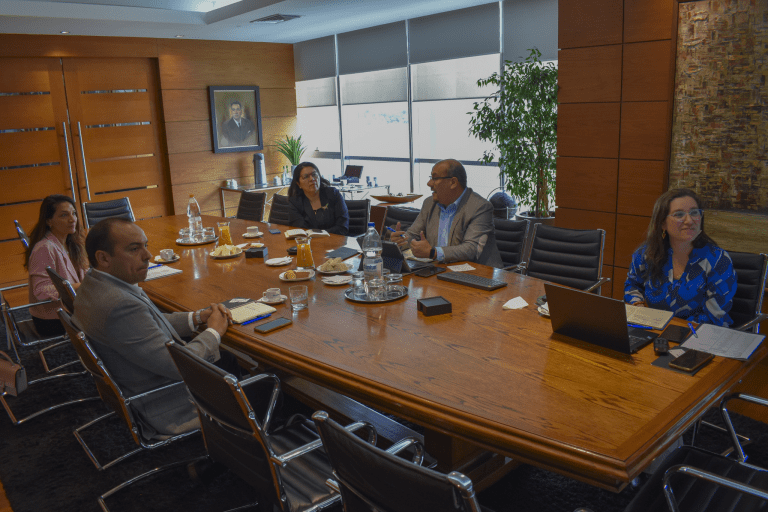 CLUSTER MINERO 08-04-7