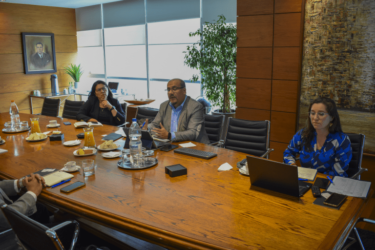 CLUSTER MINERO 08-04-8