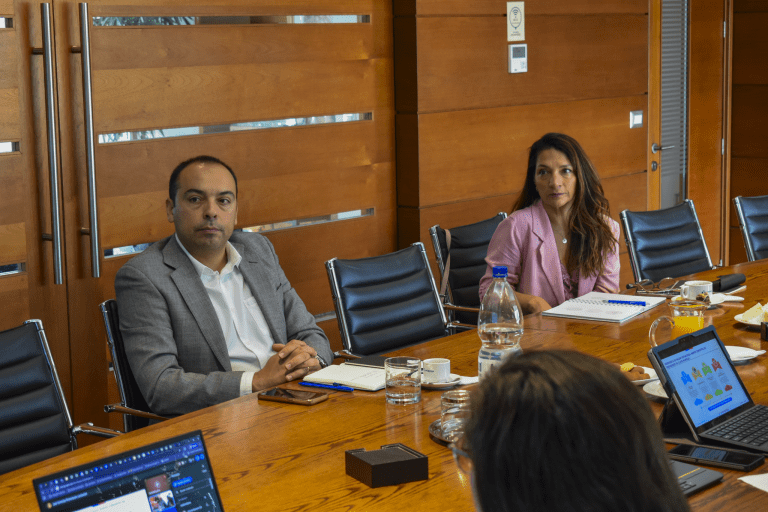 CLUSTER MINERO 08-04-9