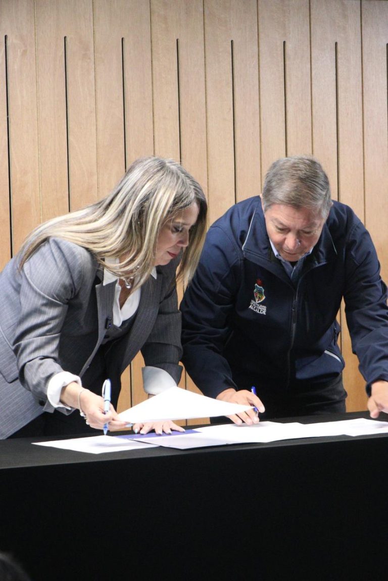 WhatsApp Image 2026-04-24 at 11.31.28 (2)