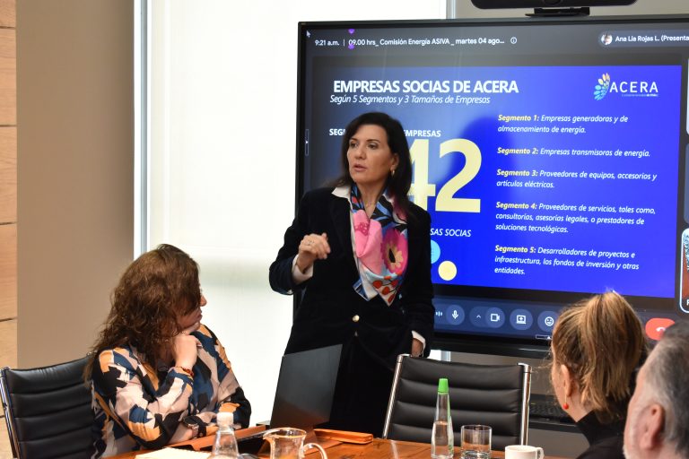 08.04 COMISIÓN ENERGÍA ASIVA (14)
