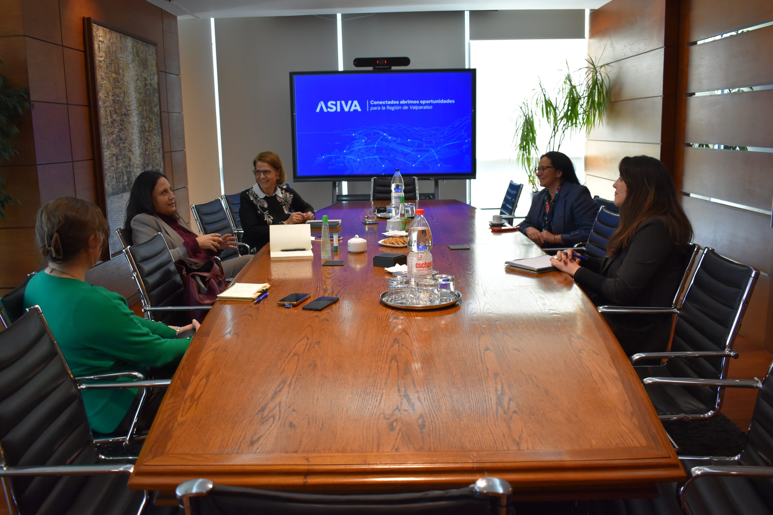 ASIVA E INSTITUTO DE DIRECTORES CHILE (2)