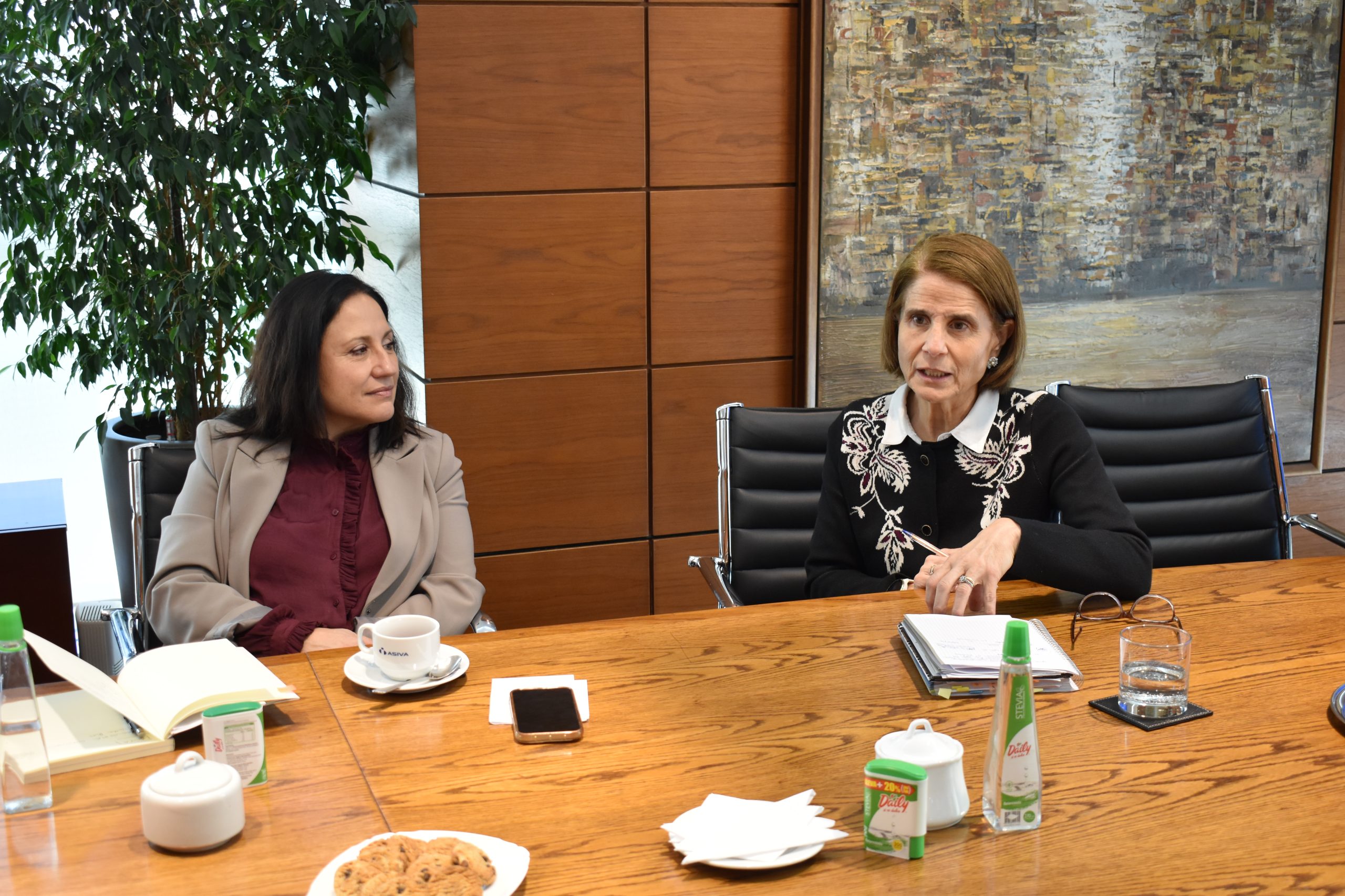 ASIVA E INSTITUTO DE DIRECTORES CHILE (5)