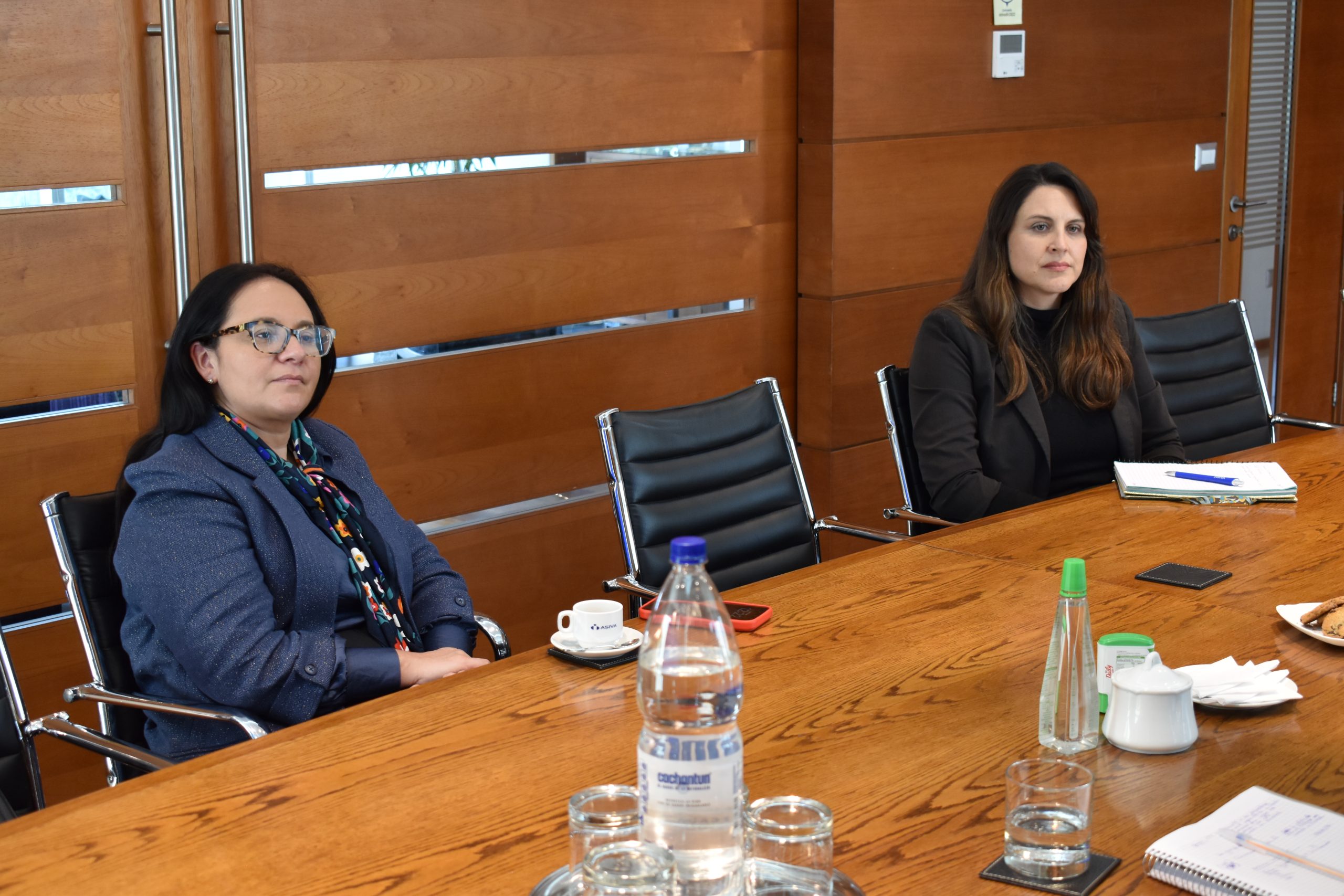 ASIVA E INSTITUTO DE DIRECTORES CHILE (9)